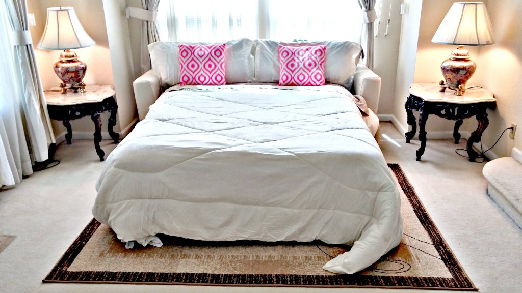 Queen Sofa Bed in Living Room| San Francisco Bay Area Vacation Home Rentals